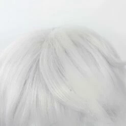 Bungo Stray Dogs Nikolai Gogol Perruque Cosplay Accessoires -Cosplay Éclat Soldes 2104544 5