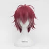DIABOLIK LOVERS Ayato Sakamaki Cosplay Perruque